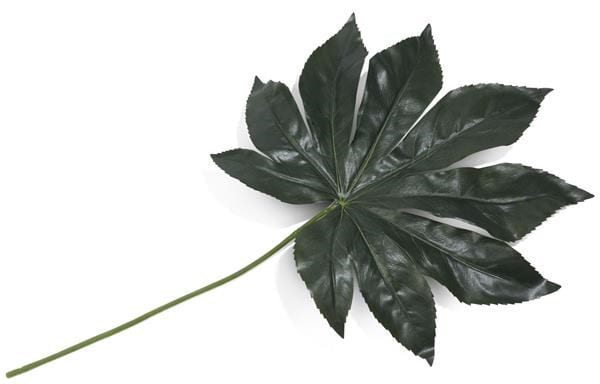 Fatsia Leaf - 55 cm Coco Maison FLOWERS Lowik Wonen & Slapen