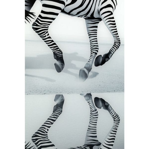 Kare Design Glass Savanne Zebra 120x120cm wanddeco 51814 - Lowik Meubelen