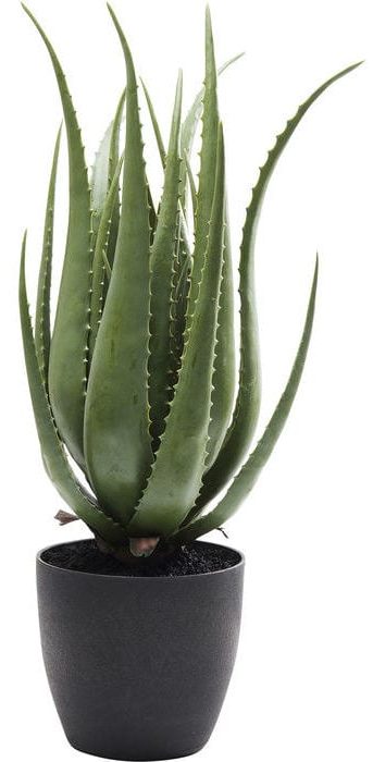 Kare Deco Plant Aloe 69cm