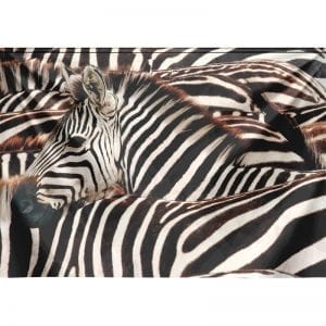 Wandkleed Zebra 132x190 Zebra, wandkleed inclusief 1x ophangsysteem. Accessoires Profijt Meubel Lowik Meubelen