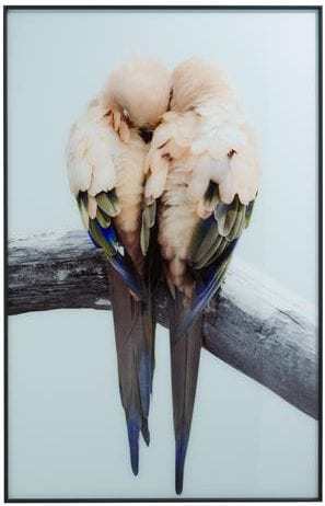 schilderij Lovebirds - 140 x 90 cm (print op glas Coco Maison PAINTING Lowik Wonen & Slapen