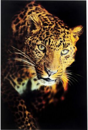Kare Design Schilderij op glas Leopard Shaka - 120x80 schilderij 52598 - Lowik Meubelen