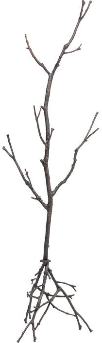 Kapstok Tree Branch - 183cm