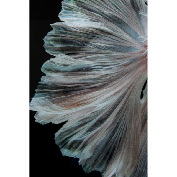 Kare Design Schilderij Glas Colorful Swarm Fish 120x120 schilderij 53082 - Lowik Meubelen