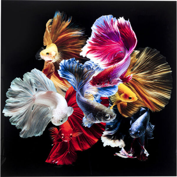 Kare Design Schilderij Glas Colorful Swarm Fish 120x120 schilderij 53082 - Lowik Meubelen