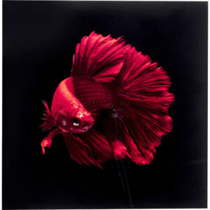 Kare Design Schilderij Glas Fire Fish 100x100 schilderij 53085 - Lowik Meubelen