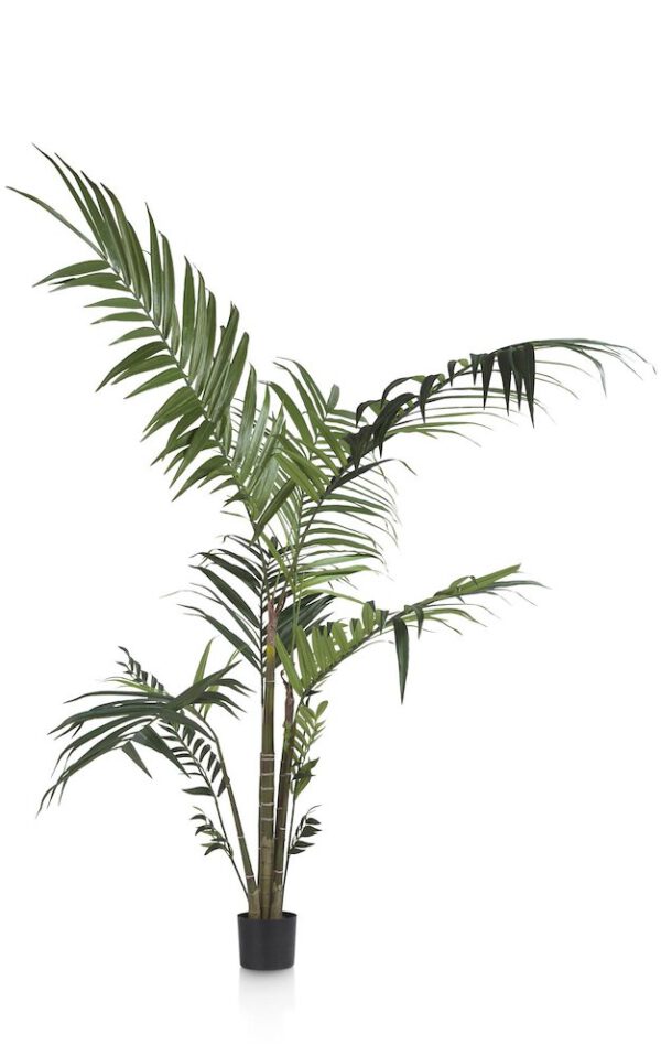 COCO maison Kentia palm H180cm  Kunstbloem