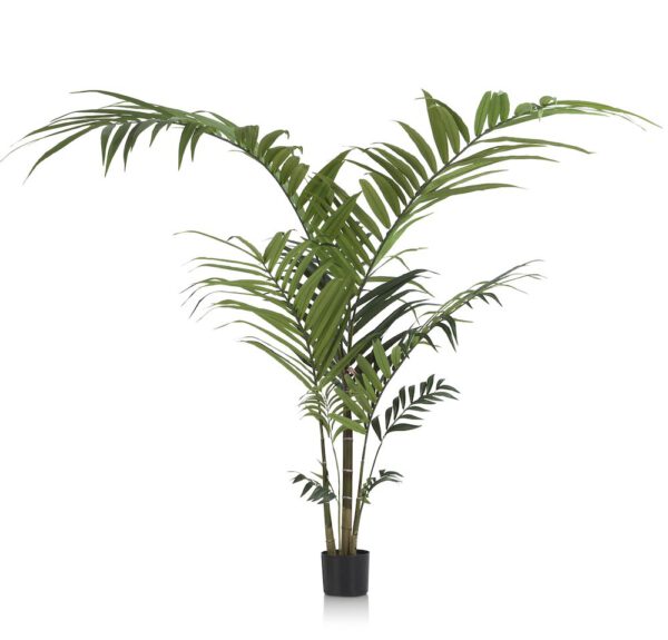 COCO maison Kentia palm plant H210cm  Kunstbloem