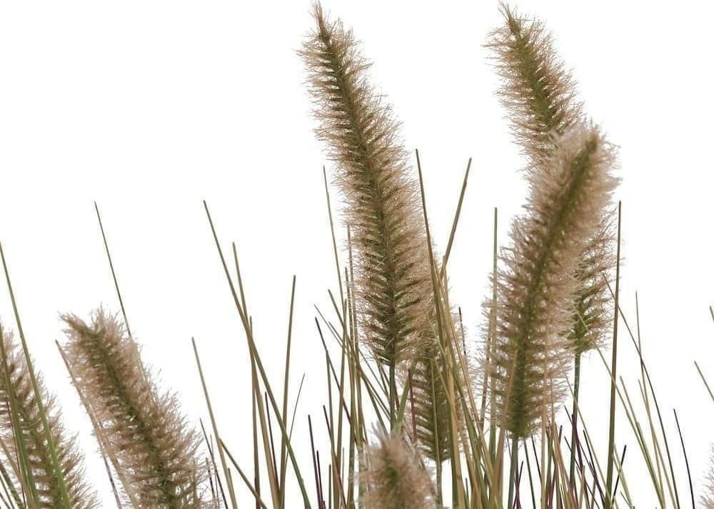 COCO maison Pennisetum grass plant H58cm Kunstbloem