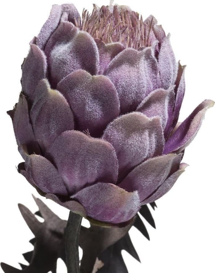 COCO maison Protea spray H63cm Kunstbloem