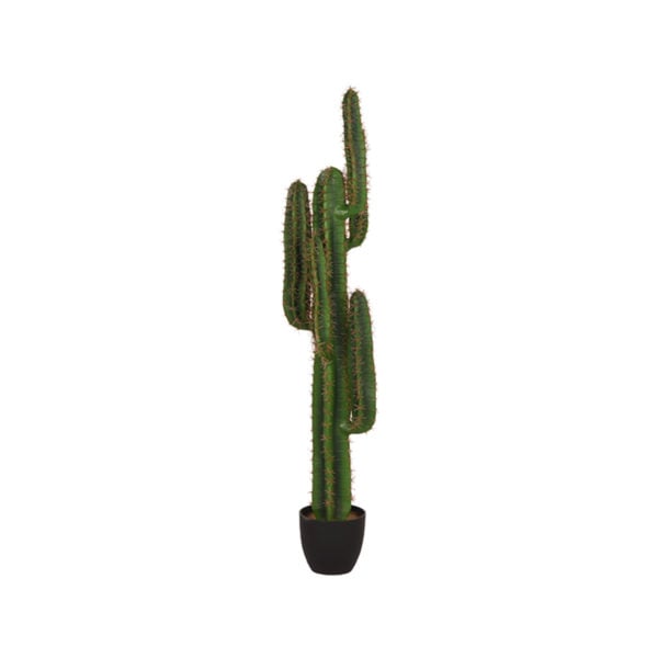 LABEL51 Cactus - Groen - Kunststof - 130 Groen Woondecoratie