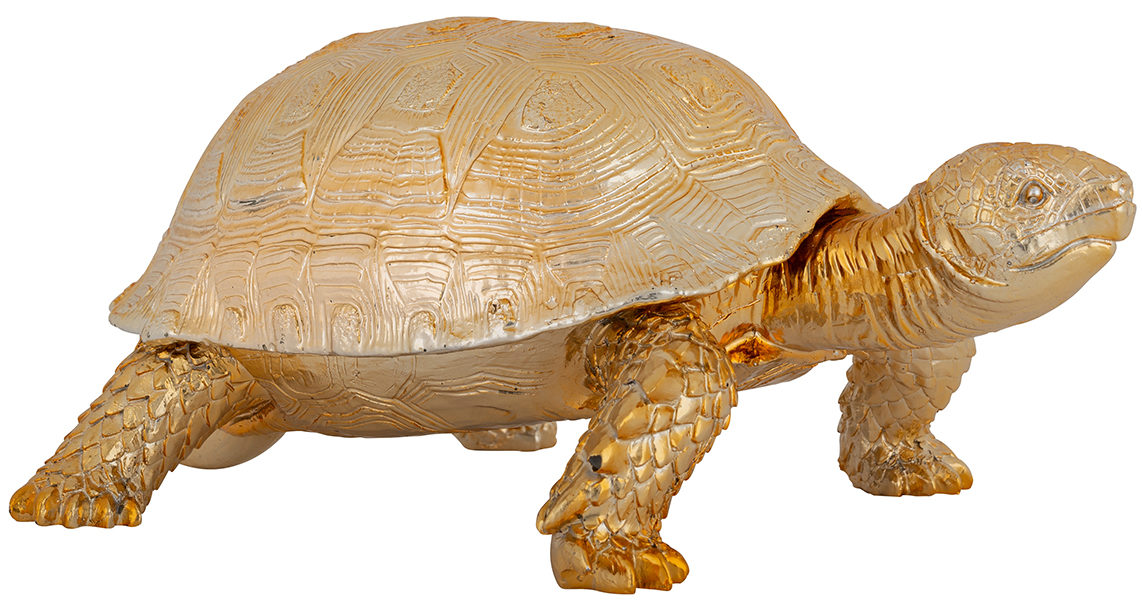 Decoratie box Turtle - Goud