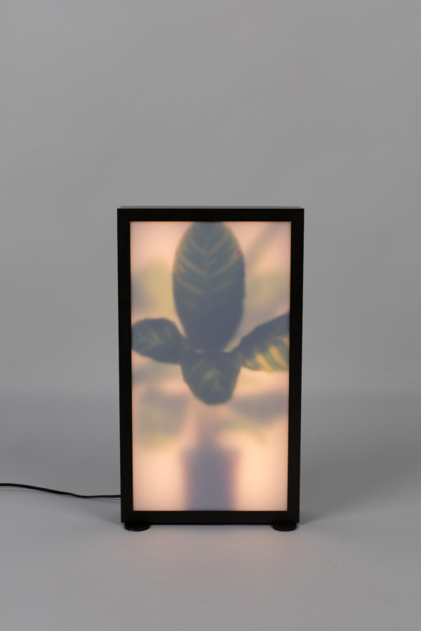 Zuiver Floor Lamp Grow M  Vloerlamp