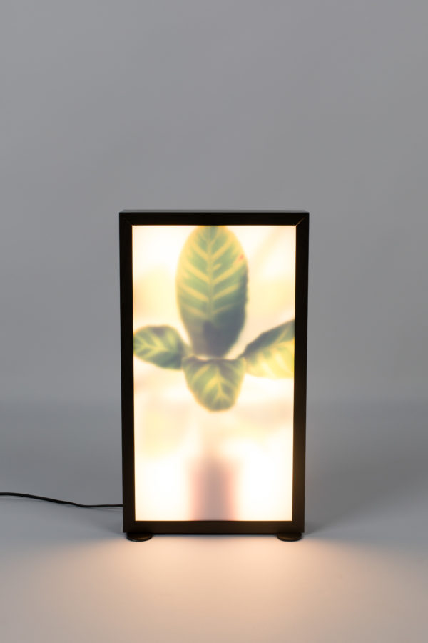 Zuiver Floor Lamp Grow M  Vloerlamp
