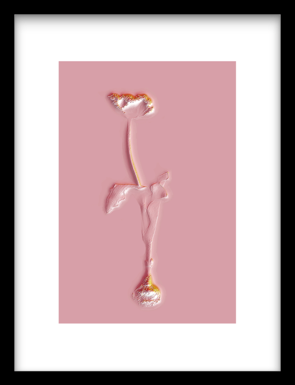 Pink Silver 40 x 30 cm art print Urban Cotton art print 79619-URBC