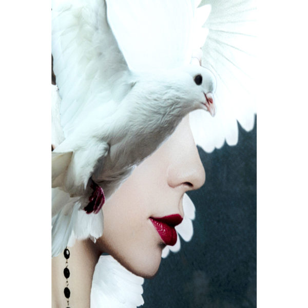 Artistieke wanddecoratie 80x120(h). Wanddecoratie, uit onze trendy en eigenzinnige Feelings Wonen collectie. Mother of doves wanddecoratie, uitgevoerd in glas, 80x120h cm.