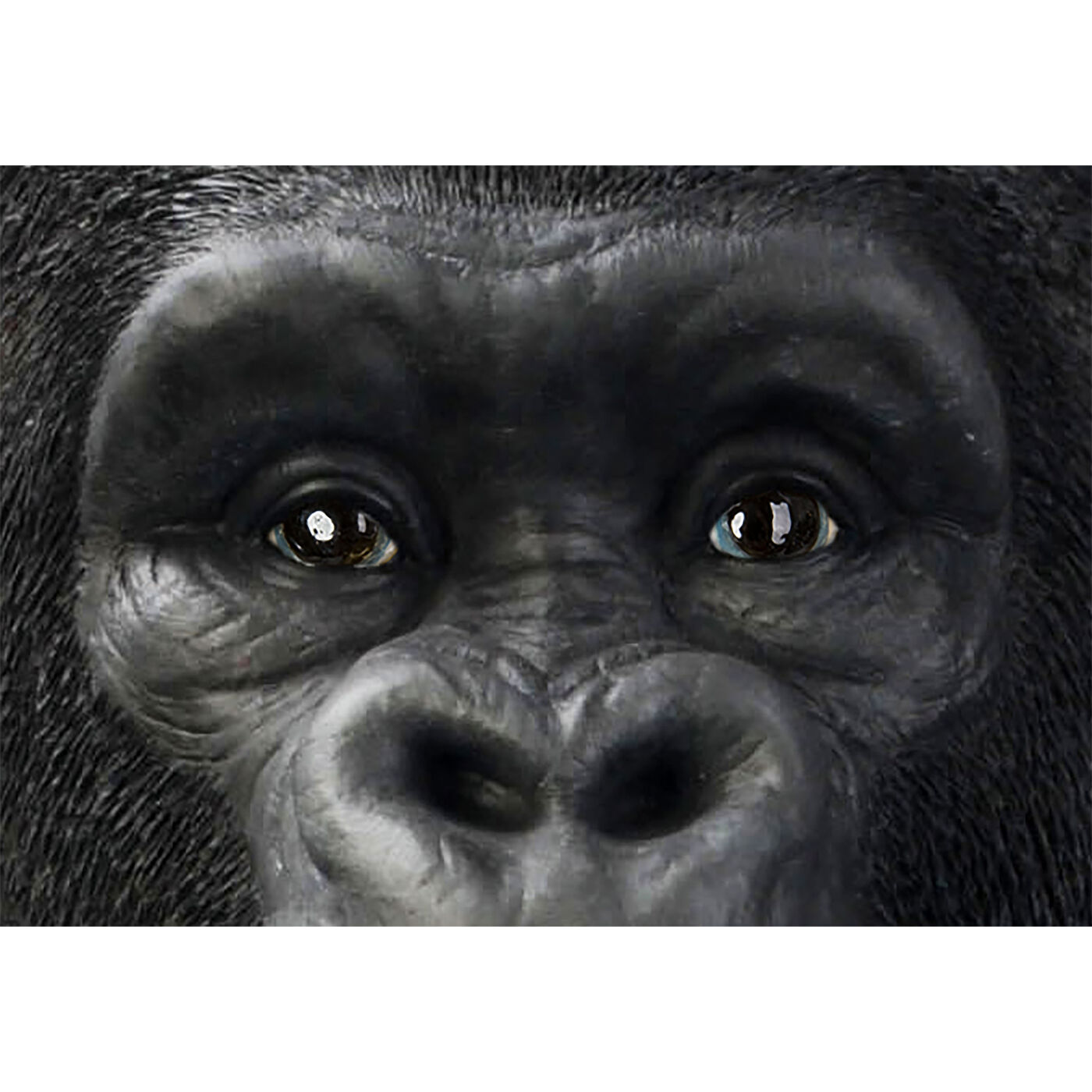 Kare Decofiguur Monkey Gorilla XXL