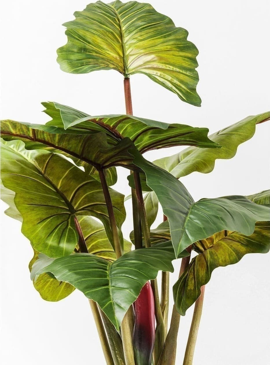 Kunstplant Rainforest Green 160cm Kare Design Kunstplant 60720