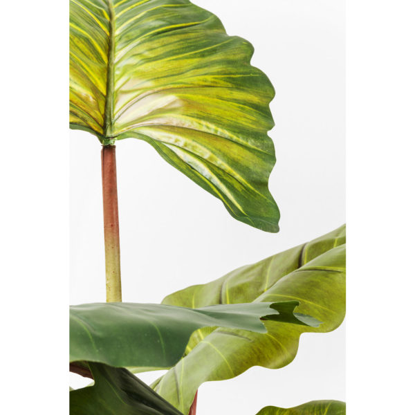Kunstplant Rainforest Green 160cm Kare Design Kunstplant 60720