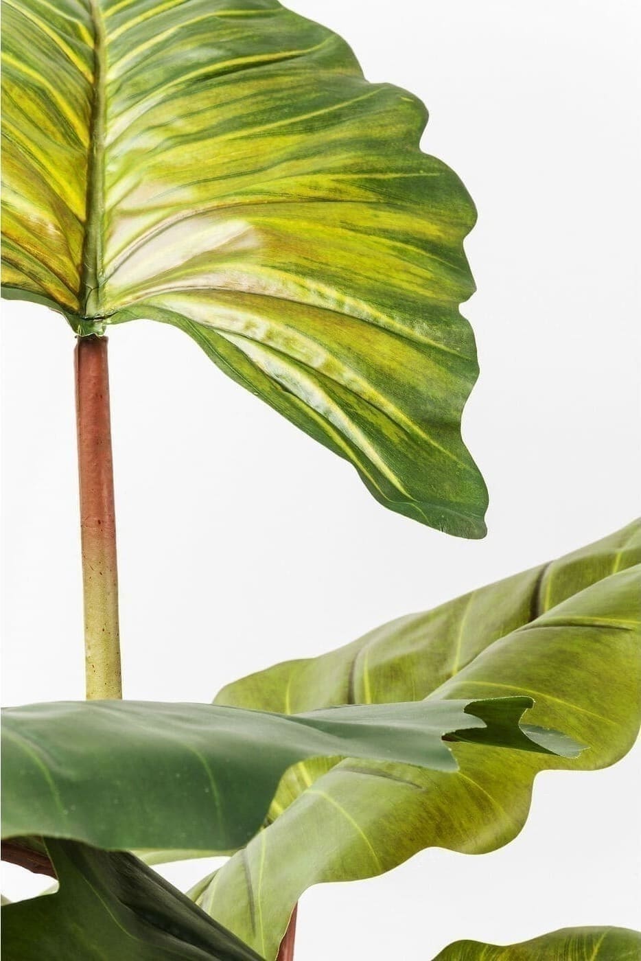 Kunstplant Rainforest Green 160cm Kare Design Kunstplant 60720