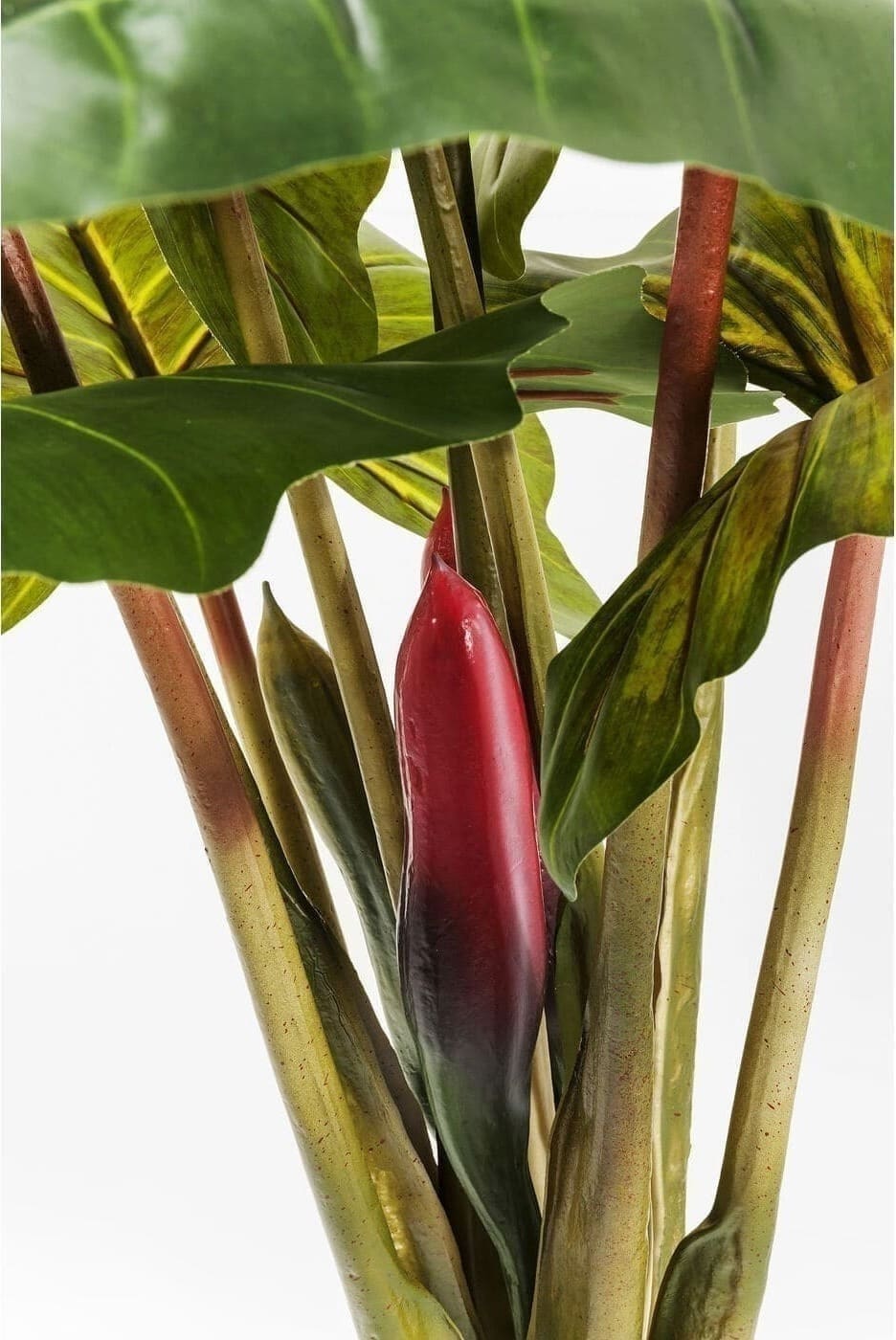 Kunstplant Rainforest Green 160cm Kare Design Kunstplant 60720