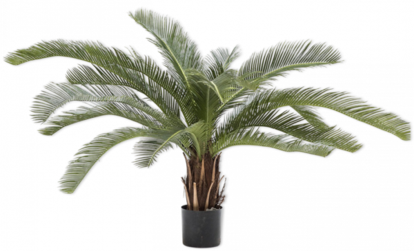 Palm Groen - 50cm silk-ka