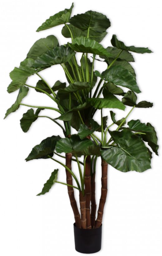 Alocasia Groen  - 150cm Silk-ka Kunstplant Silk-ka-139432