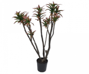Aloe Plant Prs/gr  - 96cm Silk-ka Kunstplant Silk-ka-125203