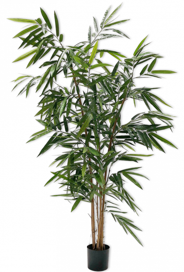 Bamboe Groen  - 152cm Silk-ka Kunstplant Silk-ka-122696