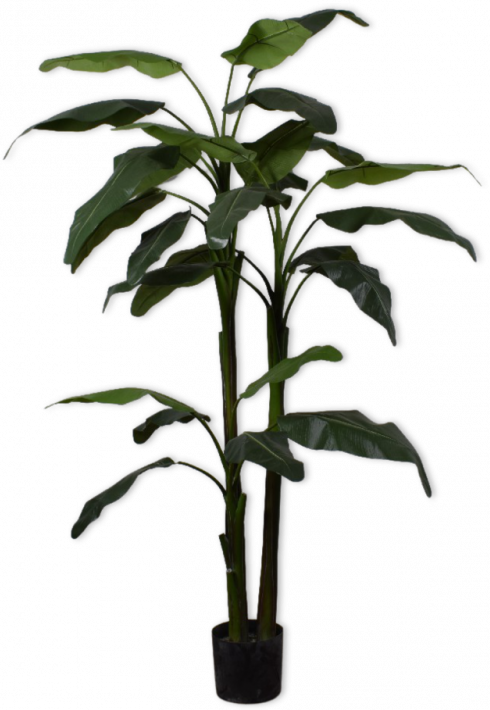 Banaan Plant Groen  - 220cm Silk-ka Kunstplant Silk-ka-131013