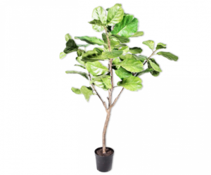 Ficus Groen  - 152cm Silk-ka Kunstplant Silk-ka-123827