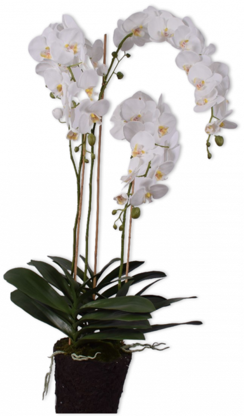 Orchidee I/pot Wt/gl  - 128cm Silk-ka Kunstplant Silk-ka-133232