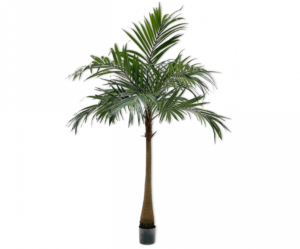 Palm Groen  - 190cm Silk-ka Kunstplant Silk-ka-131006