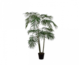 Palm Groen  - 210cm Silk-ka Kunstplant Silk-ka-123821