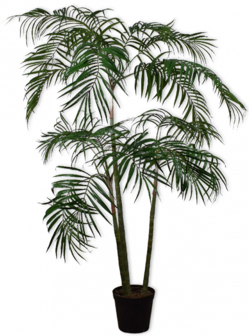 Palm Groen  - 210cm Silk-ka Kunstplant Silk-ka-123821