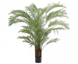 Palm Groen  - 230cm Silk-ka Kunstplant Silk-ka-118584