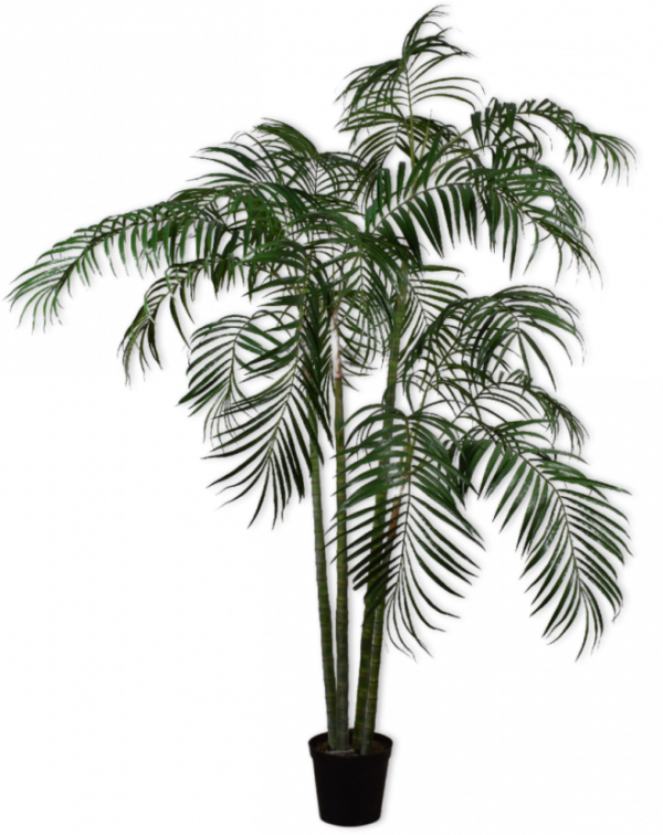 Palm Groen  - 274cm Silk-ka Kunstplant Silk-ka-127419