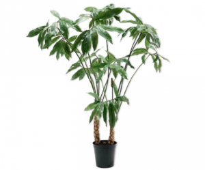 Plant Groen  - 204cm Silk-ka Kunstplant Silk-ka-131604