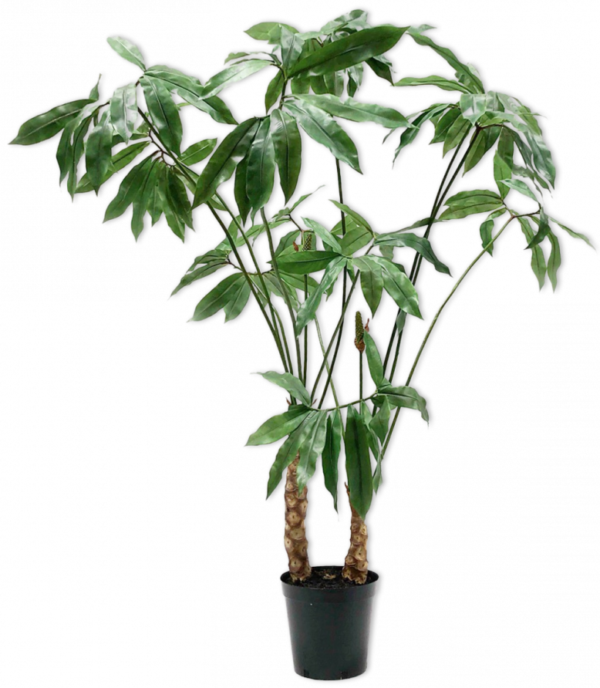 Plant Groen  - 204cm Silk-ka Kunstplant Silk-ka-131604