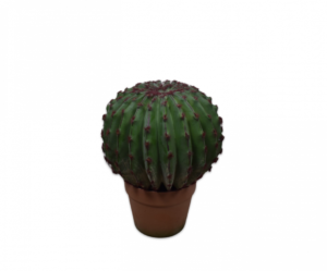 Succulent I/pot Groen  - 33cm Silk-ka Kunstplant Silk-ka-139361