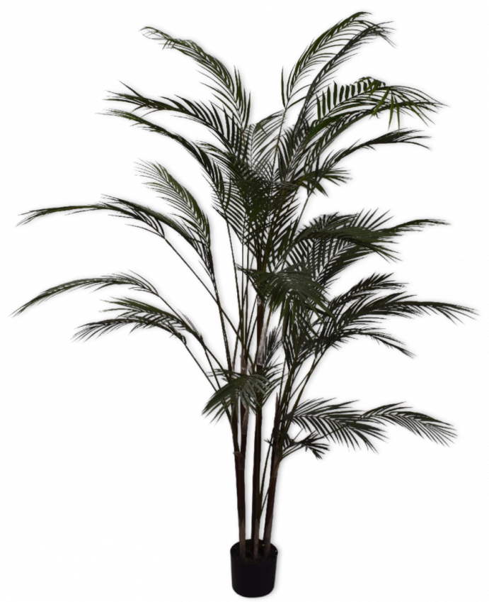 Palm Groen  - 183cm Silk-ka Kunstplant Silk-ka-144788