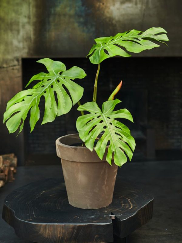 Plant Groen  - 114cm Silk-ka Kunstplant Silk-ka-144205
