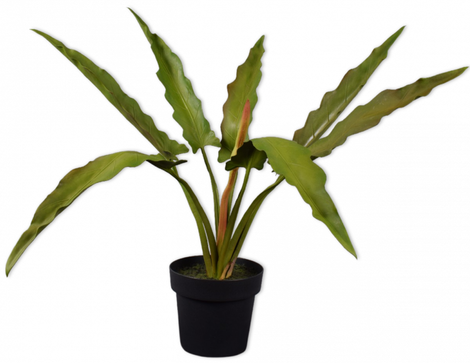 Plant Groen  - 114cm Silk-ka Kunstplant Silk-ka-144206