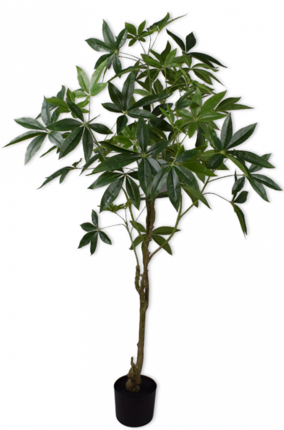 Plant Groen  - 150cm Silk-ka Kunstplant Silk-ka-144224