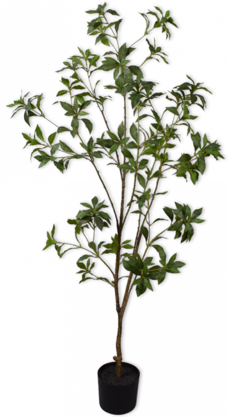 Plant Groen  - 150cm Silk-ka Kunstplant Silk-ka-144227