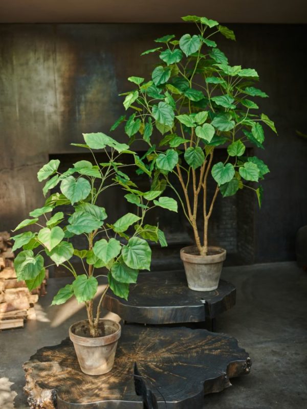 Plant Groen  - 180cm Silk-ka Kunstplant Silk-ka-144221