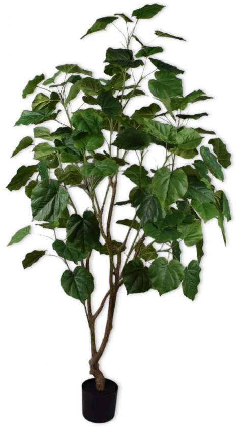 Plant Groen  - 180cm Silk-ka Kunstplant Silk-ka-144221
