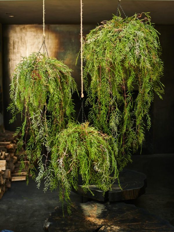 Plant Hang Groen  - 120cm Silk-ka Kunstplant Silk-ka-144053
