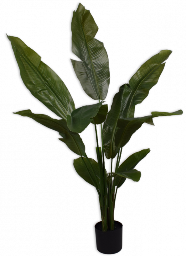 Strelitzia Groen  - 150cm Silk-ka Kunstplant Silk-ka-144000
