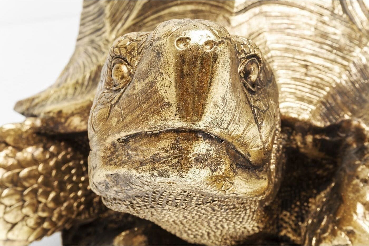 Beeld Turtle Gold Big Kare Design Beeld 30142